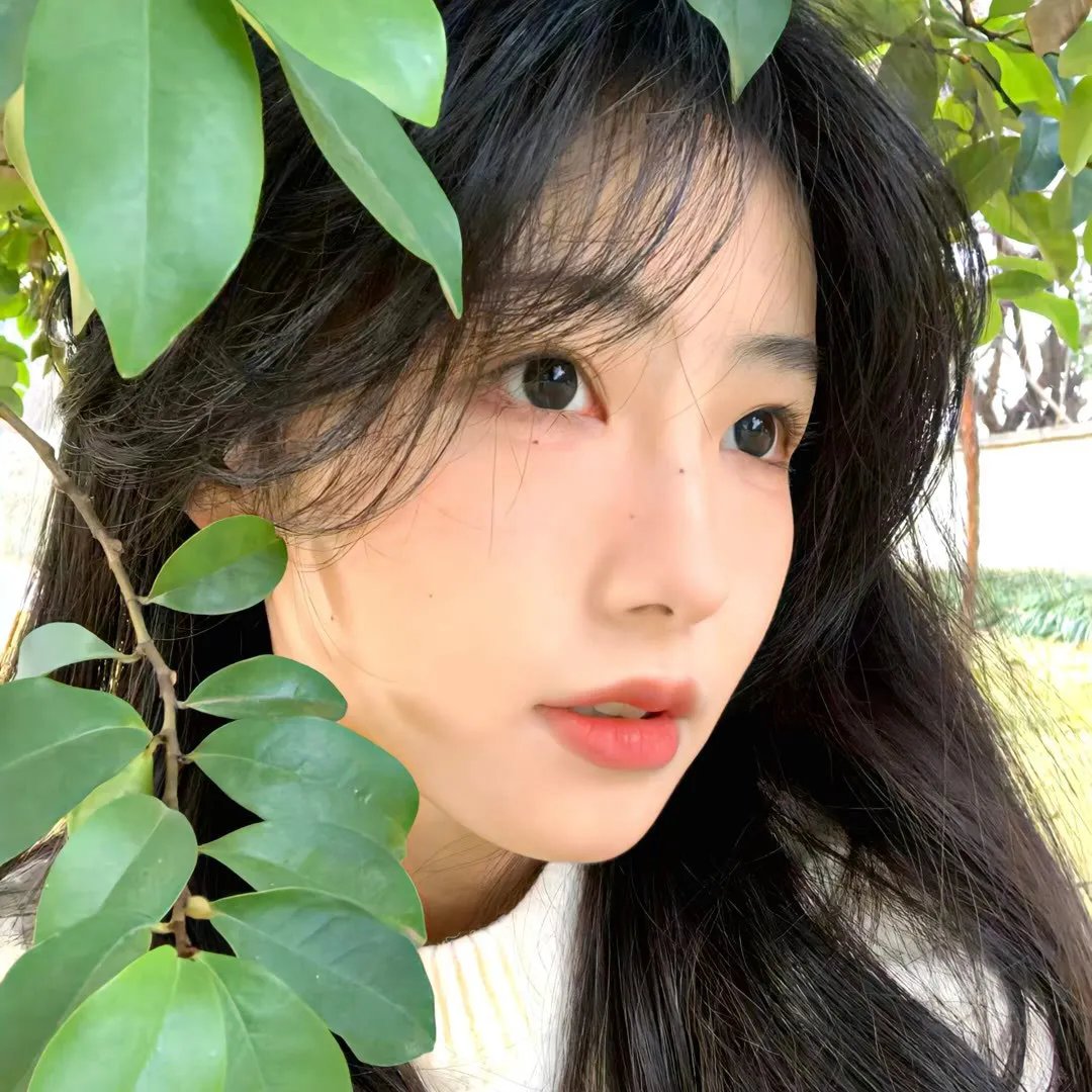 移情高手